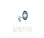 ˸